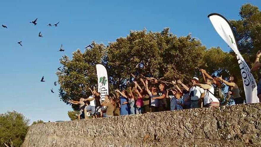 Imagen de la liberación de aves que se llevó a cabo la semana pasada en Inca.
