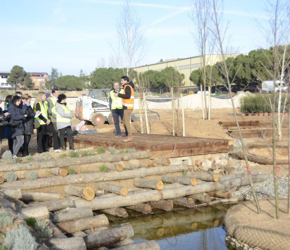 Igualada crea un espai verd i de natura al mig del Parc Central