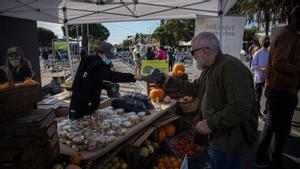 Unes mil persones celebren el 50è aniversari del trasllat del Mercat del Born a Mercabarna