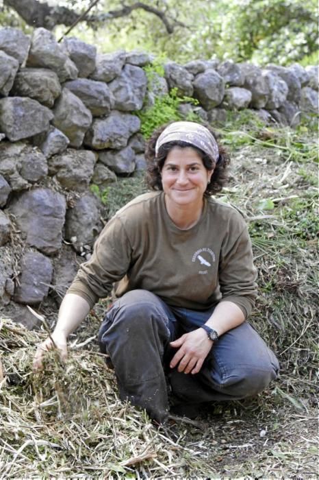 In Ariant blühen die mediterranen Pflanzen um die Wette. In dem von Heidi Gildemeister entworfenen Garten wird vieles den Launen der Natur und dem Zufall überlassen. Aber nicht alles.