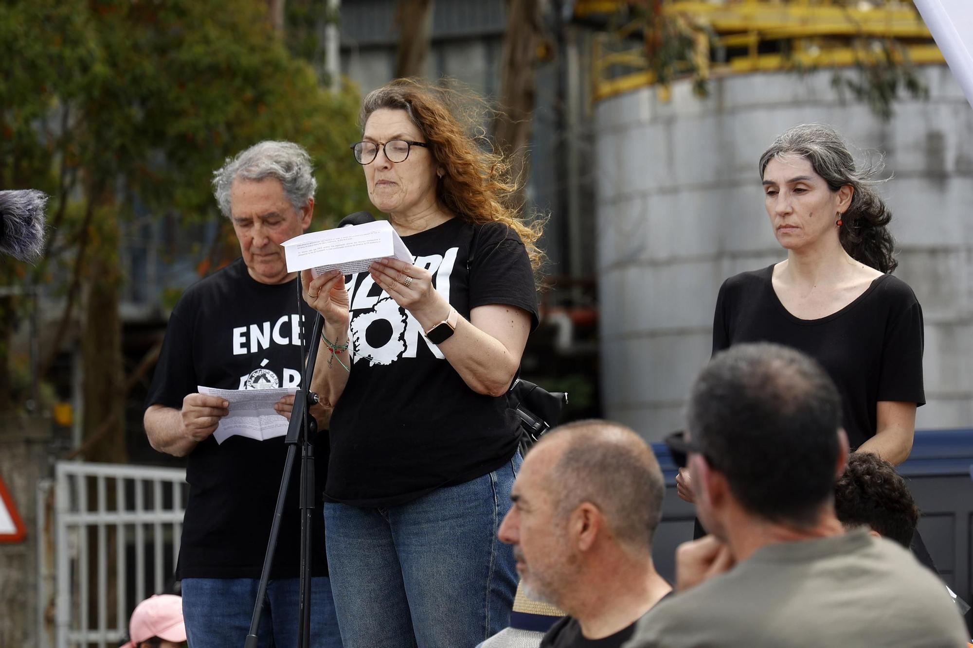 Miles de gallegos marchan de Pontevedra hasta Lourizán en protesta por las celulosas de Ence y Altri