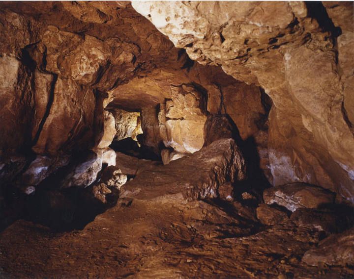 Imagen del interior de las cuevas de Altamira en Cantabria