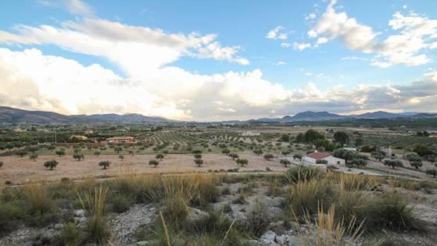 Asaltan tres chalés en Sax y dejan a sus dueños atados tras golpearlos