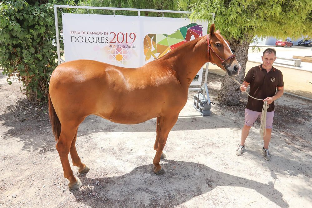 Dolores, capital de la ganadería