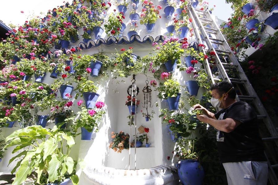 Los Patios de Córdoba (2)