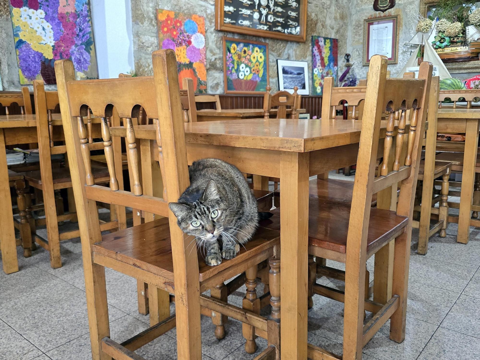 El histórico bar vigués Casa Roucos cerrará por la urbanización de Barrio do Cura