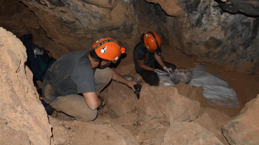 Dos de los especialistas de la empresa Tibicena trabajan en el interior de una de las cuevas para limpiar y estabilizar las vasijas encontradas.