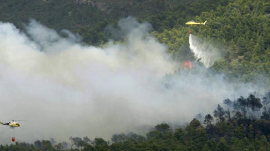 El Bombers es sobreposen a la tragèdia i afronten el quart dia de foc als Ports