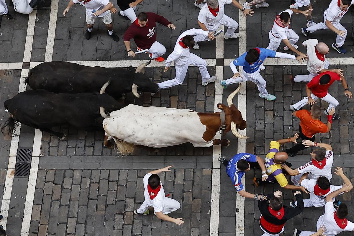 El tercer encierro de los Sanfermines 2026 ha sido rápido y emocionante con bonitas carreras de los corredores. El tercer encierro de los Sanfermines 2026 ha sido rápido y emocionante con bonitas carreras de los corredores.