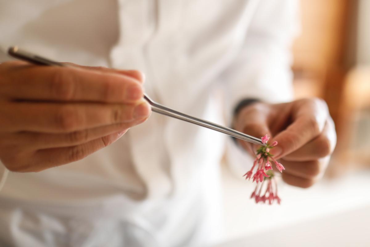 La Gaia by Óscar Molina de Ibiza consigue su primera estrella Michelin
