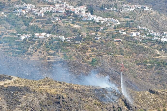 11-08-2019 Artenara. Segundo día del incendio en la cumbre  | 11/08/2019 | Fotógrafo: Andrés Cruz