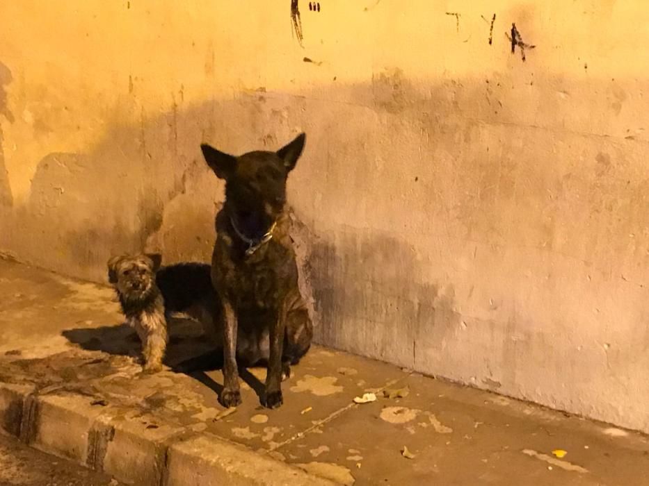 Incendio en la calle Jacinto Benavente