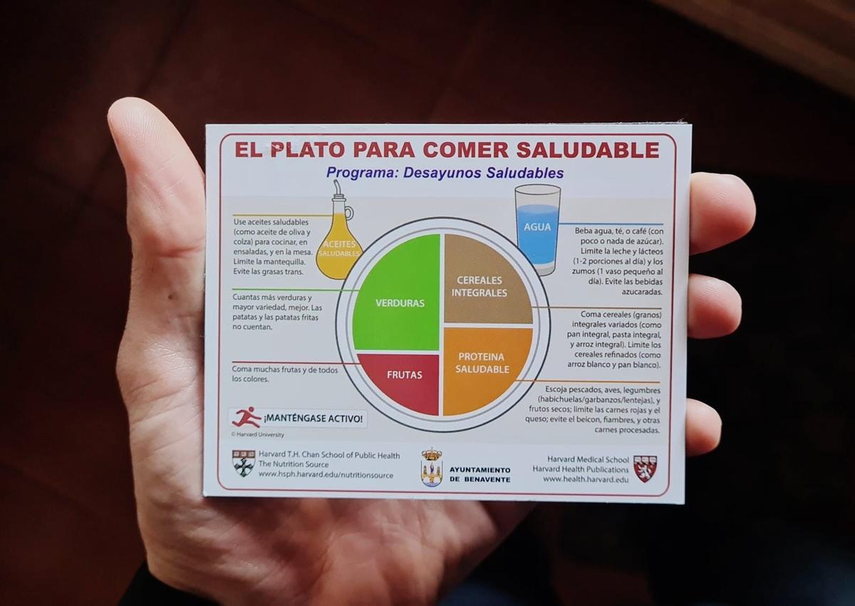El Plato de la Universidad de Harvard. La recomendación de ingesta para todas las edades.