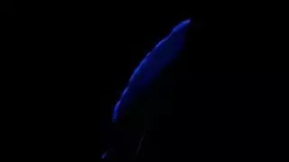 El mar de ardora ya baña la costa gallega