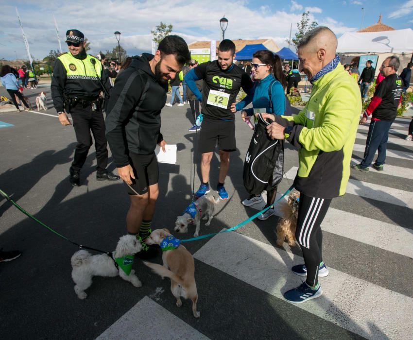 Can We Run: Gran carrera de perros para la concienciación animal