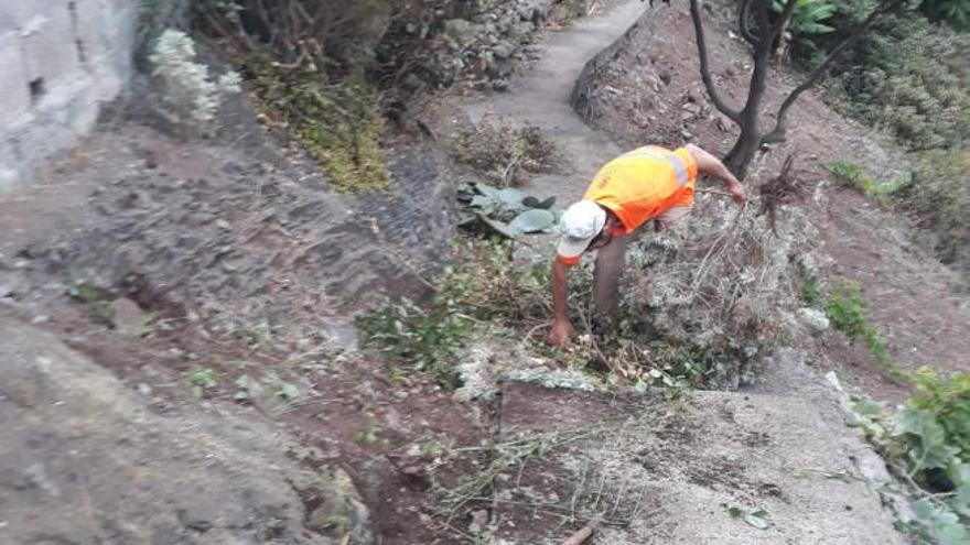 Actuaciones de limpieza en Anaga, en la capital.