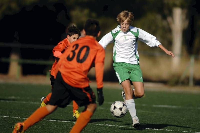 Olivar-Juventud (Infantil G-1)