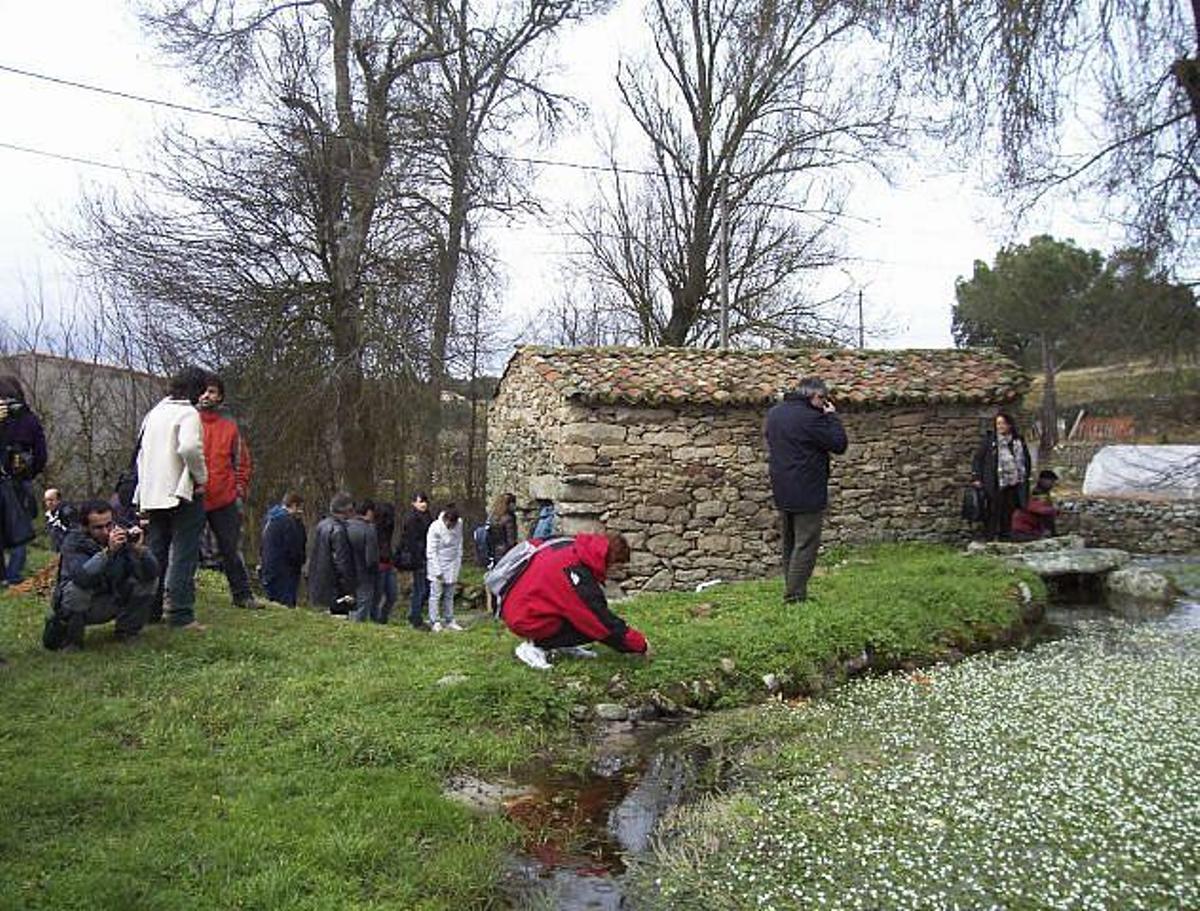 Ingenios en el agua