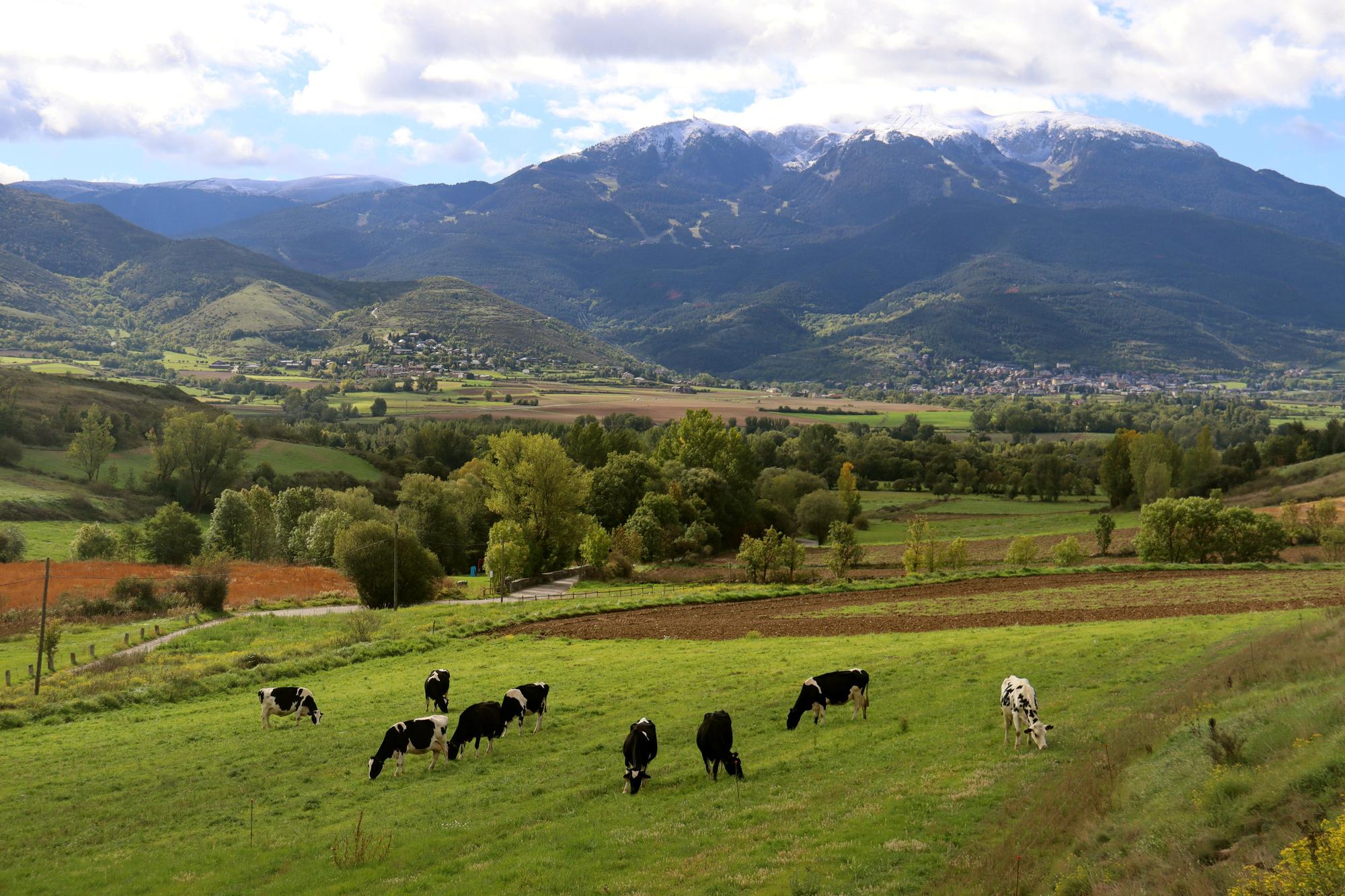 La primera nevada de la temporada a la Cerdanya