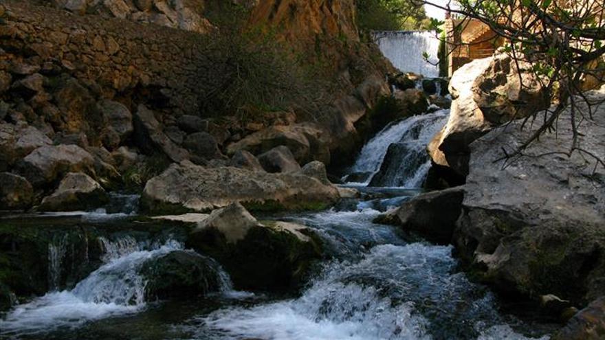 Andalucía, paraíso de la naturaleza