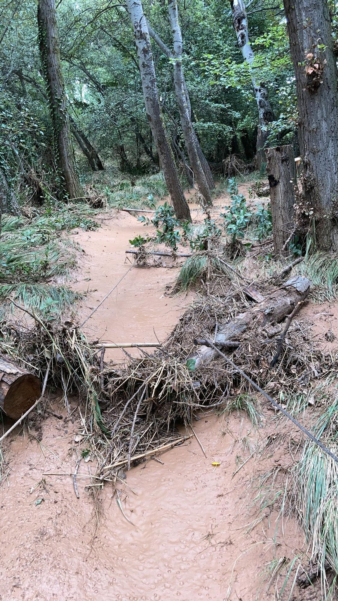 La DANA provoca la cancelación del festival Bosque Sonoro