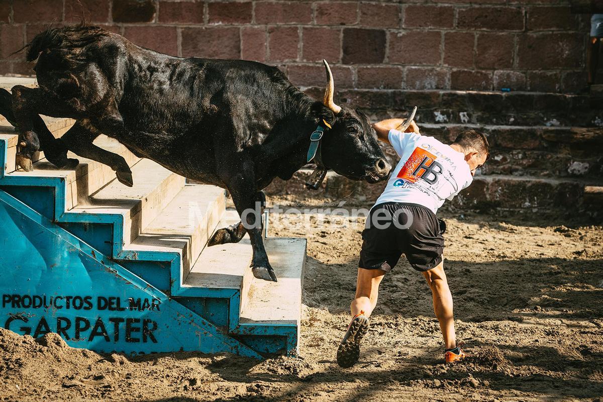 Bous a Vilafamés 2025 Bous a Vilafamés 2025
