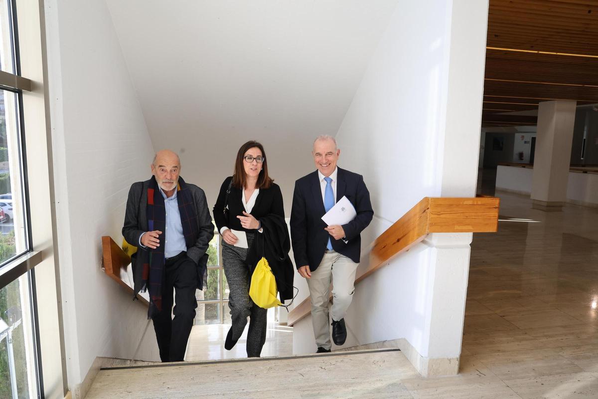 José Tuells, Cristina Alenda y Hermann Schwarz, ayer en el Colegio de Médicos