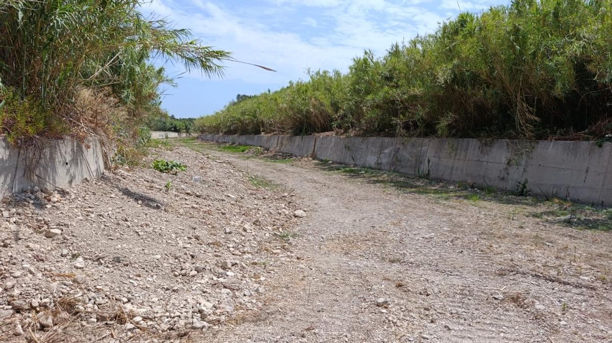 Limpieza en el torrent de Son Carrió.