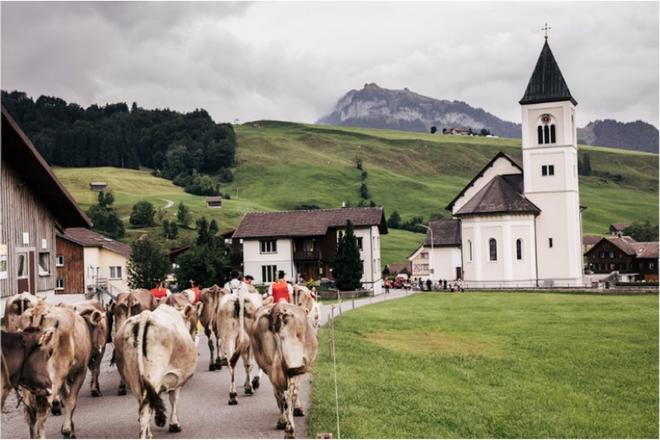 Appenzeller, Suiza