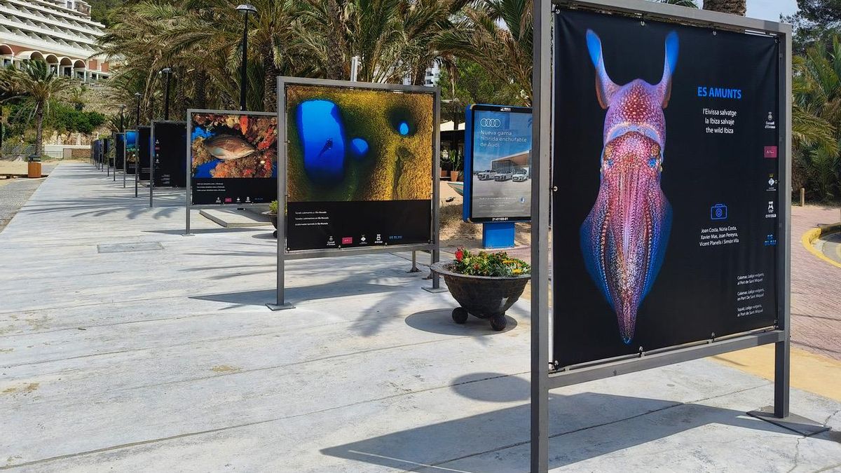 La muestra ‘Es Amunts, l’Eiviss salvatge’, en el Port de Sant Miquel.