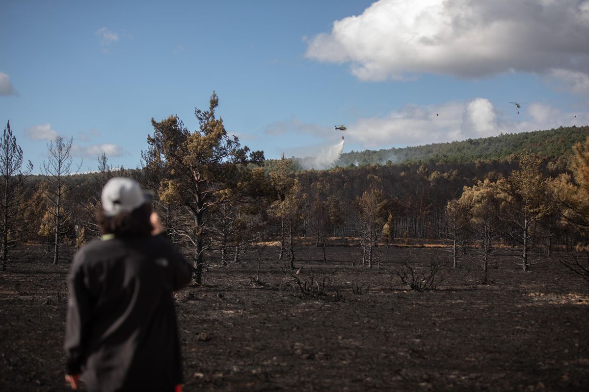 Territorio quemado en el incendio de la Culebra