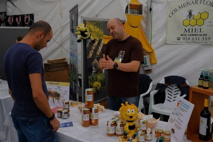 FERIA VINO, QUESO Y MIEL