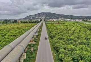 El recorte del trasvase amenaza el 43% de la exportación hortofrutícola española