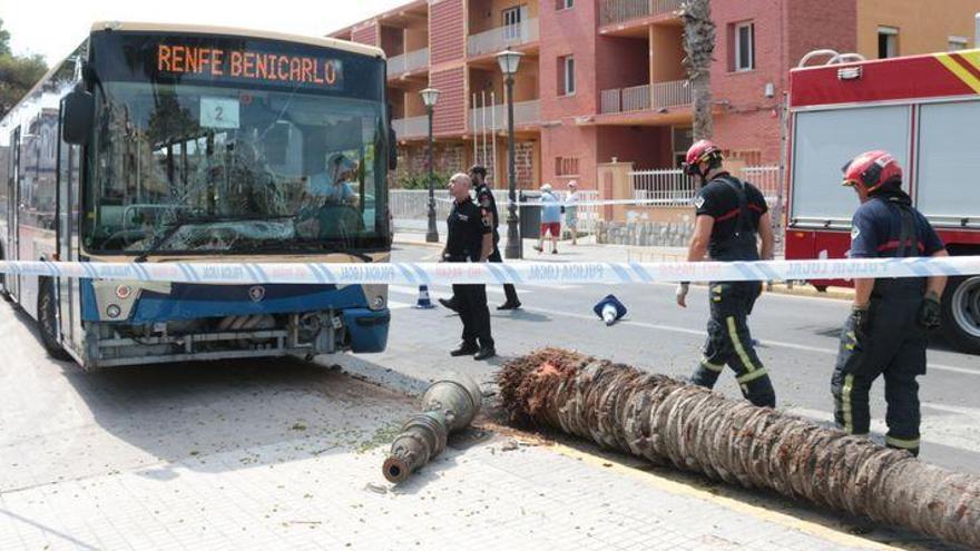 Un autobús choca contra una palmera en Peñíscola