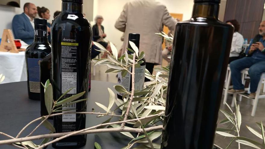 El aceite de oliva virgen extra de la Región de Murcia es el centro de las jornadas ‘Moratalla entre oliveras’
