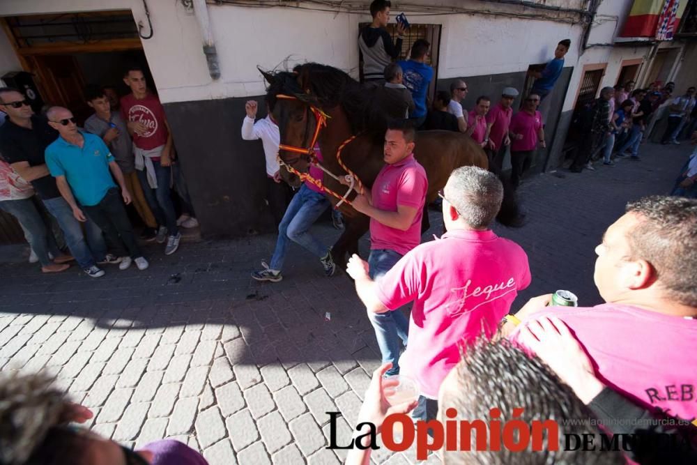 Caballo a pelo Caravaca (Desfile)