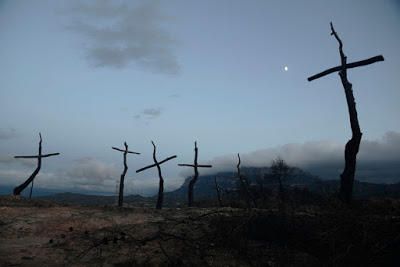 Les mirades més artístiques al Bosc de les creus