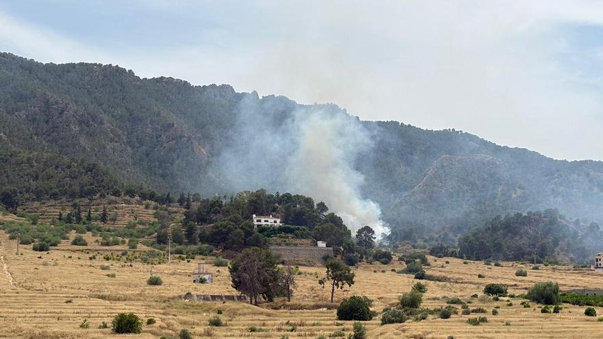 Un incendio forestal en Los Garres y Lages moviliza a los bomberos