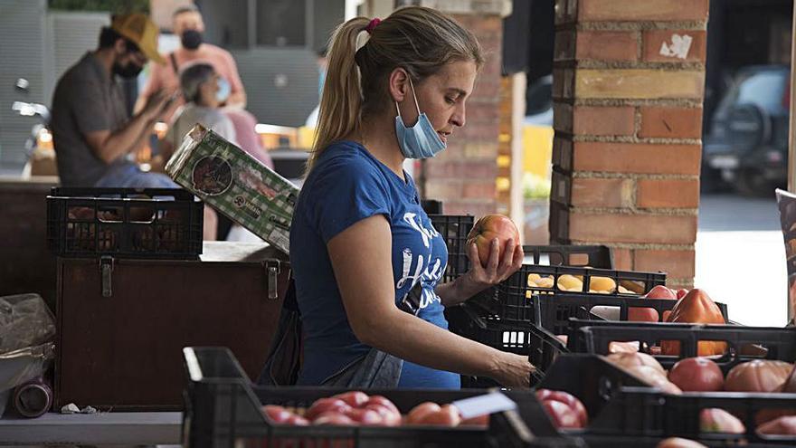 Al mercat hi havia tot de varietats autòctones de tomàquet | MIREIA ARSO