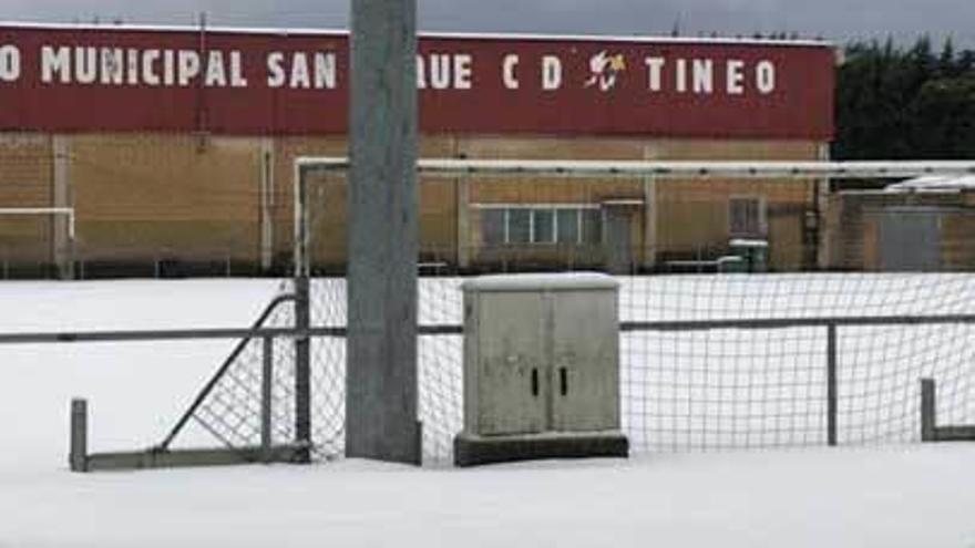 Estado en el que se encontraba ayer el campo municipal de San Roque, de Tineo.