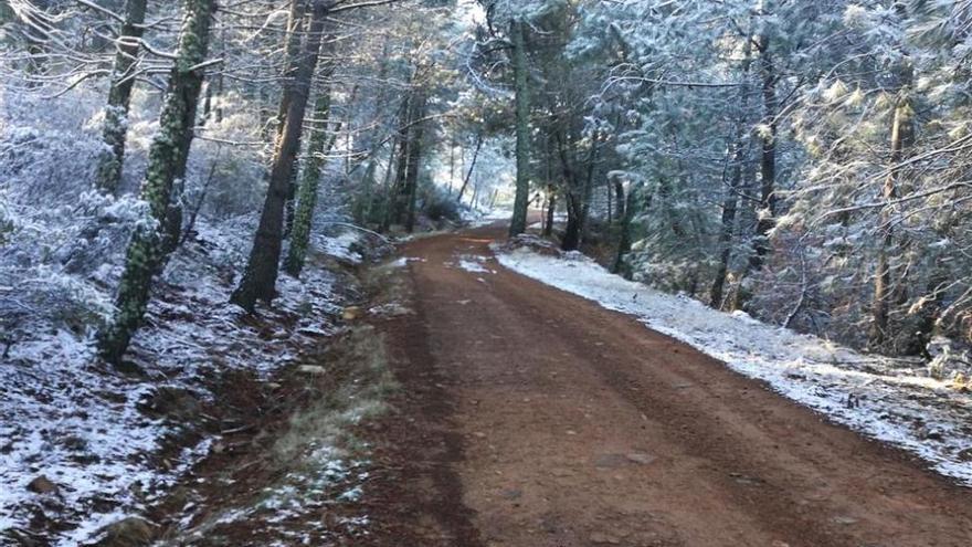 El norte de Cáceres estará mañana en alerta  por la nieve