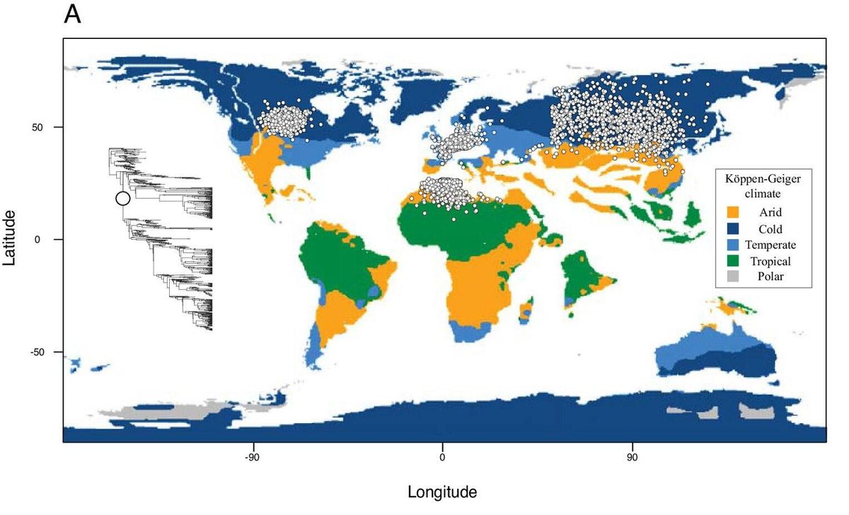 Los puntos blancos indican el origen de los primeros primates