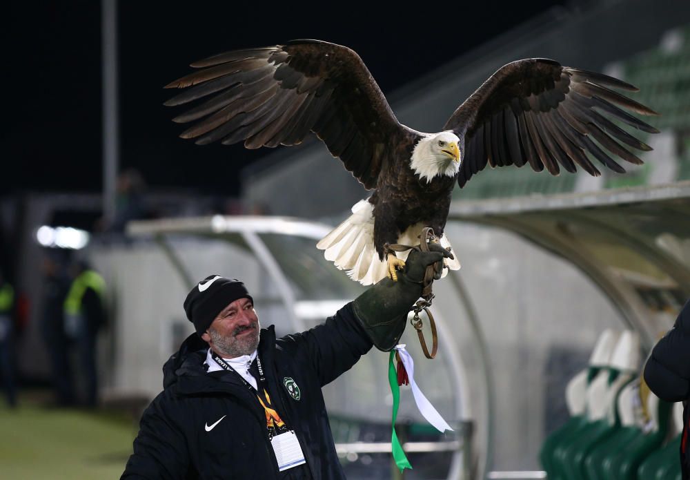 Ludogorets - Ferencvaros