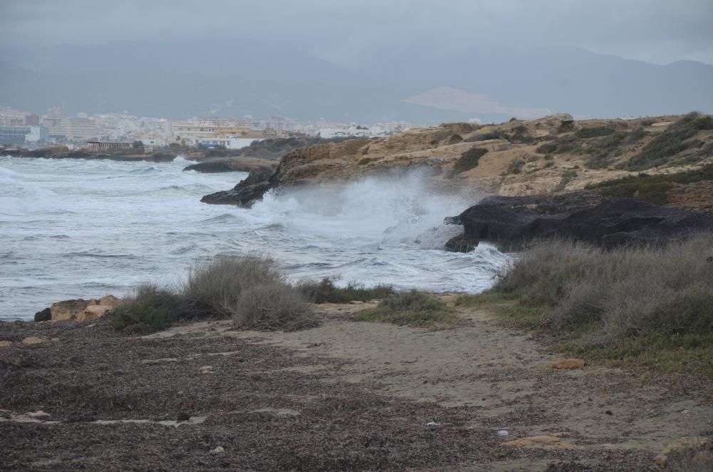 November-Wetter auf Mallorca - den Surfern gefällt's