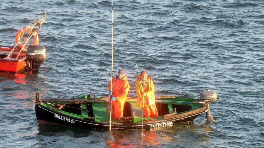 &quot;Rañeiros&quot; durante la campaña actual de libre marisqueo en Arousa. // Noé Parga