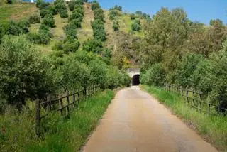 Esta es la Vía Verde favorita de los españoles: 128 kilómetros que atraviesan un mar de olivos