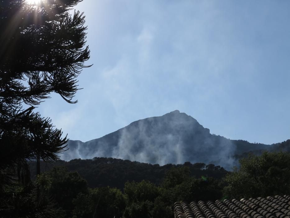 Waldbrand bei Puigpunyent