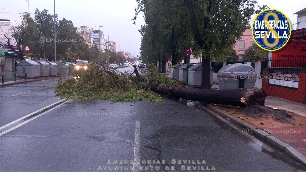 Corte de tráfico en Marqués de Pickman