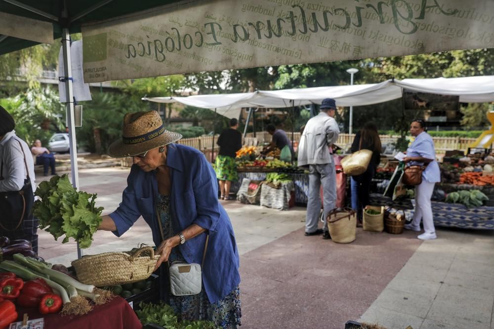 El mercado de Patines avanza por la línea verde