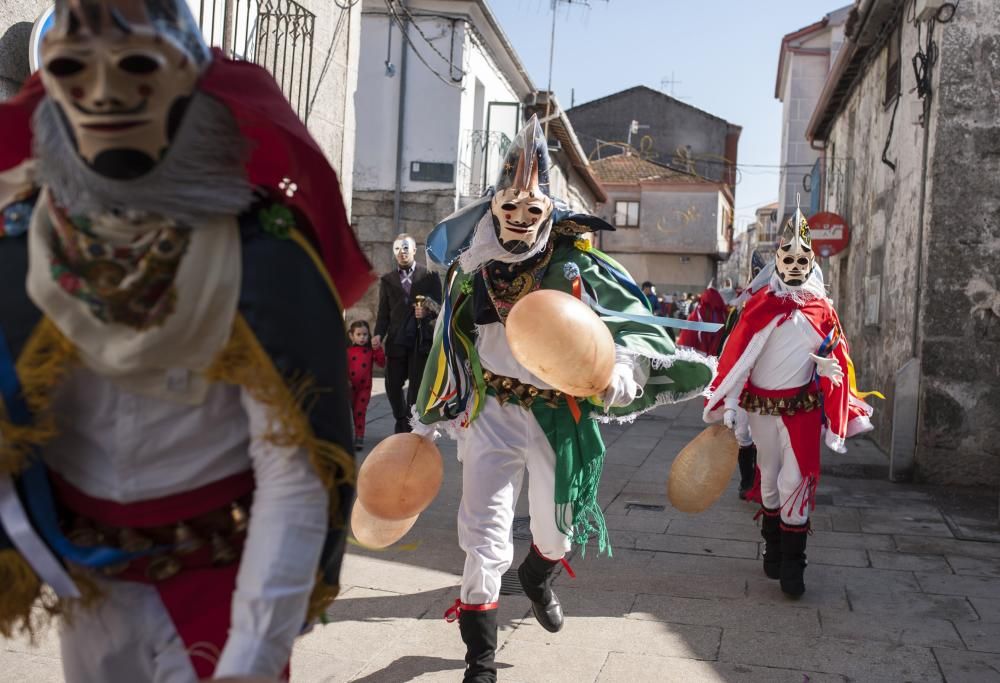 Los cigarrones de Verín, el corredoiro de pantallas de Xinzo y los disfraces de Seixalbo tiñen de humor y color las calles de la provincia